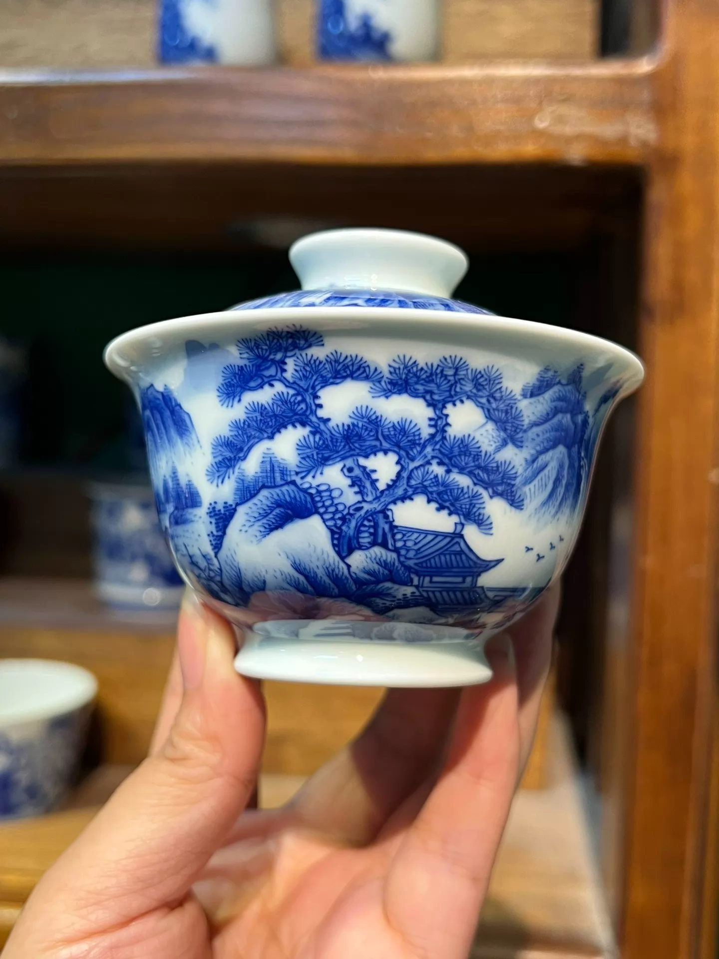 Mountain Landscape Gaiwan
